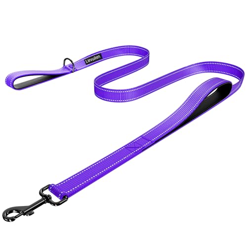 Dog Leash 4ft Long, Double Handle Dog Leash for Safety Control Training, Heavy Duty Dogs Leads with Traffic Padded Handles, Reflective Leashes for Small Medium Large Dogs(4ft, Purple) - color: Purple, size: 4ft