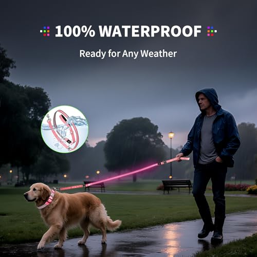 Night Walking LED Dog Leash - 6FT Reflective & Waterproof Light Up Safety Leashes for Dogs - USB Rechargeable, Pink - color: Pink(Fiber optic version)
