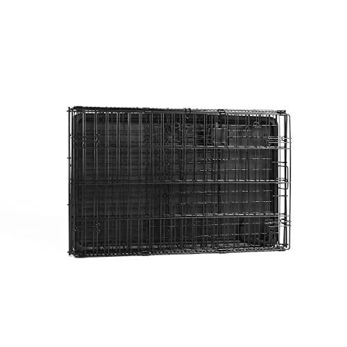 Amazon Basics Portable Metal Wire Dog Crate with Removable Tray, Single Door with Divider Panel, Foldable, Collapsible, Easy to Assemble & Clean, 36" x 23" x 25", Black - size: 36 x 23 x 25 in, style: Single Door w/ Divider