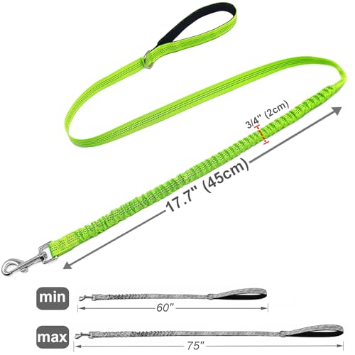 Bungee Dog Leash- 5FT Shock Absorbing & Reflective Nylon Leash | Anti-Pull Training for Small/Medium Dogs | 2cm Wide, 6 Colors (Green) - color: Green
