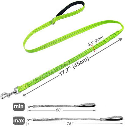 Bungee Dog Leash- 5FT Shock Absorbing & Reflective Nylon Leash | Anti-Pull Training for Small/Medium Dogs | 2cm Wide, 6 Colors (Green) - color: Green