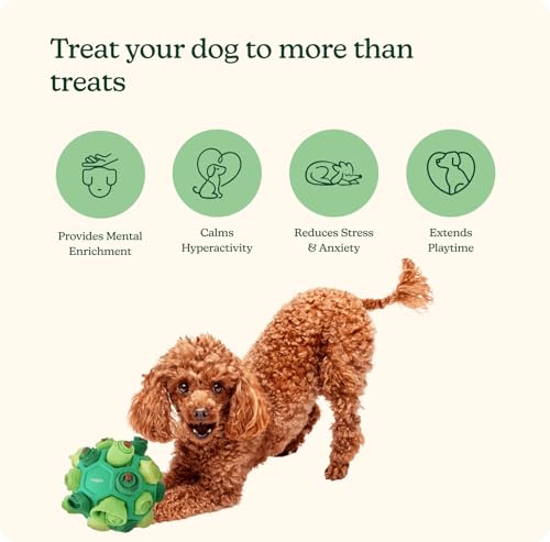 Reggie Dog Training Treats with Enrichment Toy | Turkey & Pumpkin Dog Treats + Forager Ball | Low-Calorie High-Protein Rewards | Mental Stimulation for Dogs | 340 Treats - size: Forager Ball - Turkey & Pumpkin