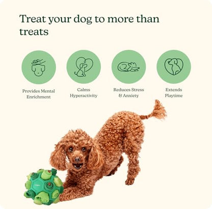 Reggie Dog Training Treats with Enrichment Toy | Turkey & Pumpkin Dog Treats + Forager Ball | Low-Calorie High-Protein Rewards | Mental Stimulation for Dogs | 340 Treats - size: Forager Ball - Turkey & Pumpkin