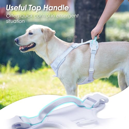 No Pull Dog Harness, Puppy Vest with Front Clip for Small Medium Large Sized Dog(Light Blue,XS) - color: Light Blue, size: XS(Neck:11.8-16.5", Chest:14.2-19.7")