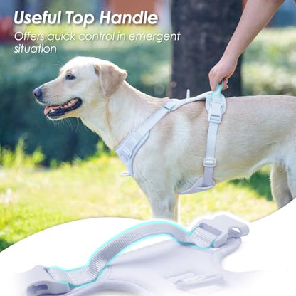 No Pull Dog Harness, Puppy Vest with Front Clip for Small Medium Large Sized Dog(Light Blue,L) - color: Light Blue, size: L(Neck:20.9-31.5", Chest:24.8-37.4")