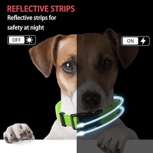 Reflective Dog Collar with Safety Locking Buckle, Adjustable Soft Breathable Nylon Collars for Small, Medium and Large Dogs(Collar+Leash XS Width 3/8" Green) - color: Green, size: XX-Small (Width 3/8")