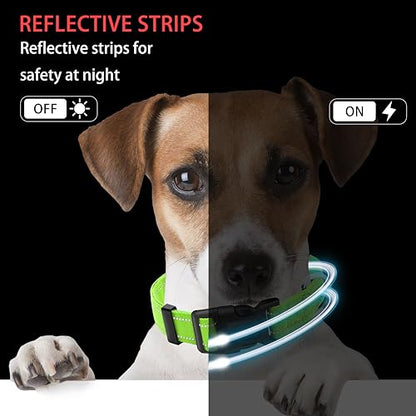 Reflective Dog Collar with Safety Locking Buckle, Adjustable Soft Breathable Nylon Collars for Small, Medium and Large Dogs(Collar+Leash XS Width 5/8" Green) - color: Green, size: X-Small (Width 5/8")
