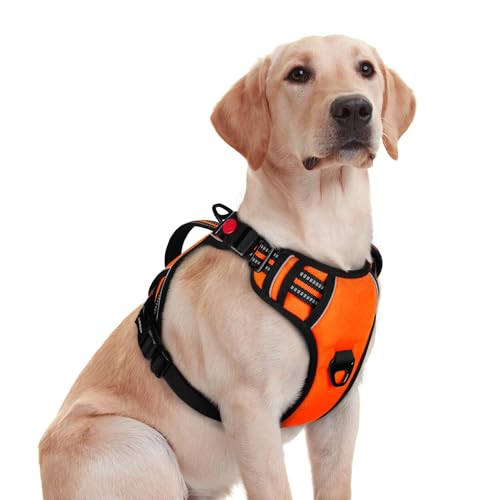 rabbitgoo Dog Harness for Large Dogs, No Pull Pet Harness with Soft Padded Handle, Adjustable Reflective Vest with 3 Buckles, Easy Walking Harness with 2 Leash Clips, Orange, M - color: Orange, size: Medium