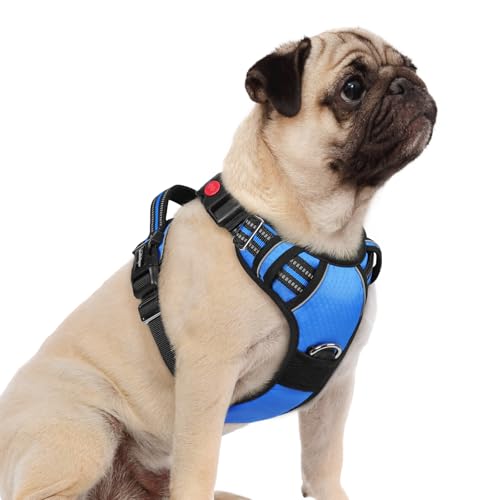 rabbitgoo Dog Harness Small Sized, No Pull Dog Vest with 3 Buckles, Adjustable Soft Padded Pet Harness with Easy Control Handle and Reflective Strips, Blue, S - color: Blue, size: Small