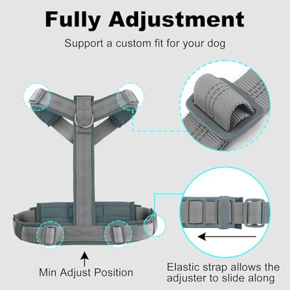Plutus Pet No Pull Dog Harness, Adjustable Nylon Harness with Soft Padding, Reflective and Heavy Duty Dog Harness for Small, Medium, Large Dogs(Gray, S) - color: Gray, size: S