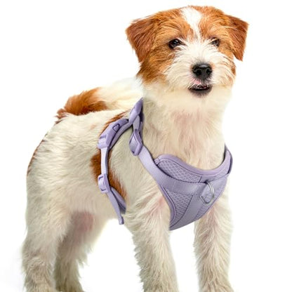 Dog Harness Medium Sized, Pet Vest with Front Clip, Adjustable Puppy Harness with 3 Fast Release Buckles[Easy to Put on & Take Off] (Lilac, XS) - color: Lilac, size: XS: Neck=10"-14"/Chest=11"-19"