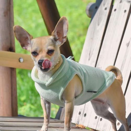 JACKO & CO - Fleece Vest Dog Sweater with Leash Ring - Soft, Warm & Lightweight Pullover Coat for Small & Medium Dogs, Puppies & Cats - Cozy Fall/Winter/Spring Pet Jacket (Mint Green, X-Small 3lbs) - color: Mint Green, size: XS (2-4lbs)