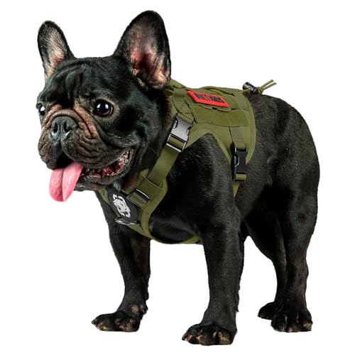 OneTigris Tactical Dog Harness Vest,No-Pull Service Dog Vest with Hook & Loop Panels,Adjustable Dog Vest Harness for Walking Hiking Training(Ranger Green,XS) - color: Green, size: XS
