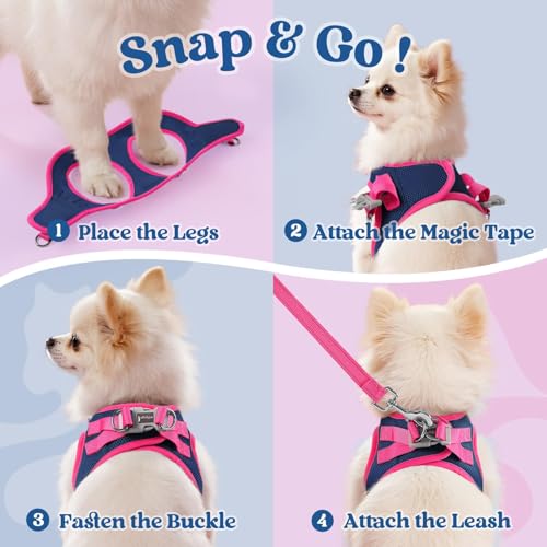 rabbitgoo Dog Harness Small Sized and Leash Set, Step-in Breathable Pet Harness, Soft Walking Reflective Puppy Vest for Small Dogs, Blue & Rose Red, XXS - color: Blue & Rose Red, size: XXS (Chest: 12.4 - 14.2")