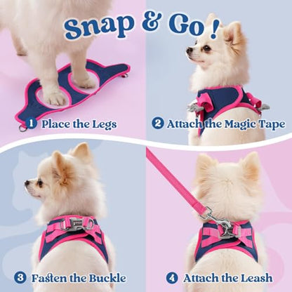 rabbitgoo Dog Harness Small Sized and Leash Set, Step-in Breathable Pet Harness, Soft Walking Reflective Puppy Vest for Small Dogs, Blue & Rose Red, XXS - color: Blue & Rose Red, size: XXS (Chest: 12.4 - 14.2")