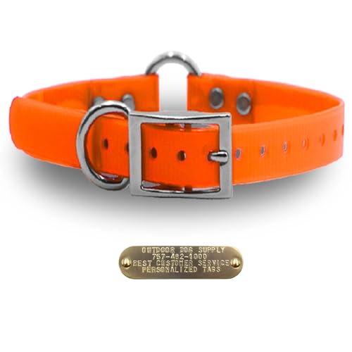 Outdoor Dog Supply 1" Heavy Duty Waterproof D-Ring & Center O-Ring Dog Collar for Medium & Large Dogs | Custom 3/4" Brass Nameplate (Orange, 21") - color: Orange, size: 21" Long