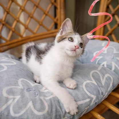 3 Pack Cute Cat Toy Wands Interactive Cat String Toys for Indoor Cats, Colorful Ribbon Cats Teaser Wand Ribbon Toys