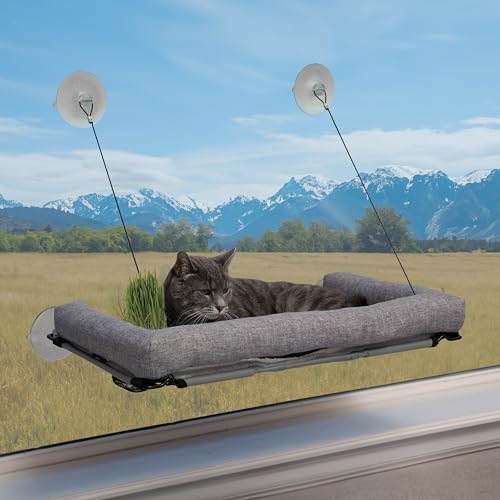 K&H Pet Products EZ Mount Cat Window Perch Deluxe Bolstered Kitty Sill with Cat Grass Grow Station - Hammock Window Bed for Indoor Pets, Home Grown Grass Toy for Bored Indoor Felines