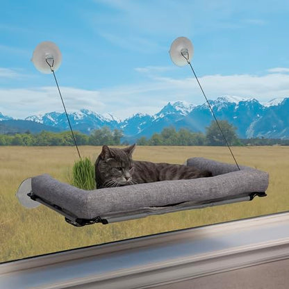 K&H Pet Products EZ Mount Cat Window Perch Deluxe Bolstered Kitty Sill with Cat Grass Grow Station - Hammock Window Bed for Indoor Pets, Home Grown Grass Toy for Bored Indoor Felines