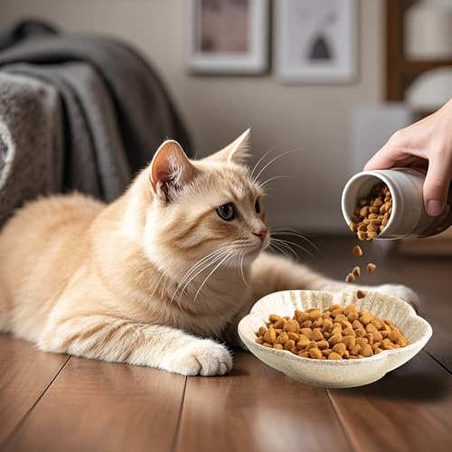 Cat Food Bowls, Ceramic Pet Plates, Cat Dish for Food, Water and Snack, 4.72 Inch, Indoor and Outdoor Use, Kitten Puppy and Small Animals Bowls Set of 3 (Camel) - color: camel