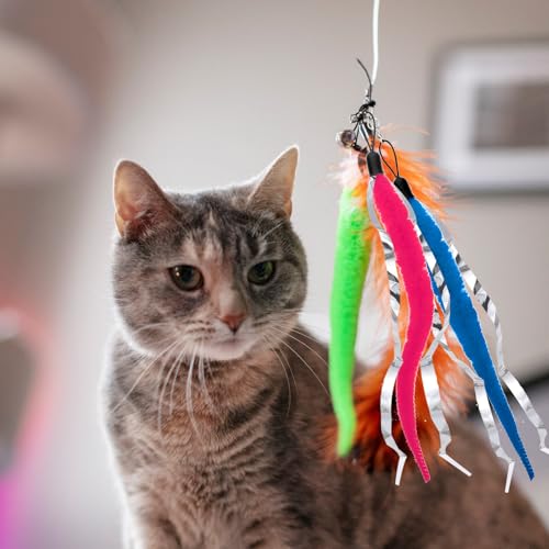 Worm Cat Toy with Foil, 10 PCS Cat Wand Attachments Worms Toy Interactive Cats Wand Attachments Worms Toys for Indoor Cats