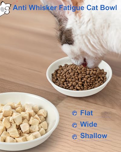 Ceramic Cat Bowl Whisker Friendly – 3 Pack Shallow Wide Cat Food Bowls, 5.5″ Non‑Slip Cats Dishes Silicone Base, Dishwasher & Microwave Safe, Indoor Cats Food & Water Bowl – Cute Heart Paw Design - color: 3 Packs