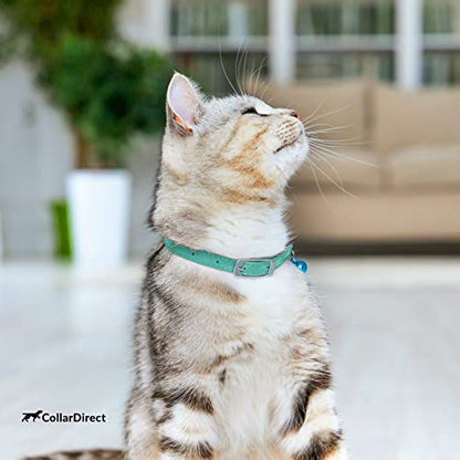CollarDirect Leather Cat Collar with Removable Bell – Safety Elastic Strap (Breakaway Alternative) – Kitten Collar for Small & Big Boy & Girl Cats - color: Mint Green, size: 6-7 Inch
