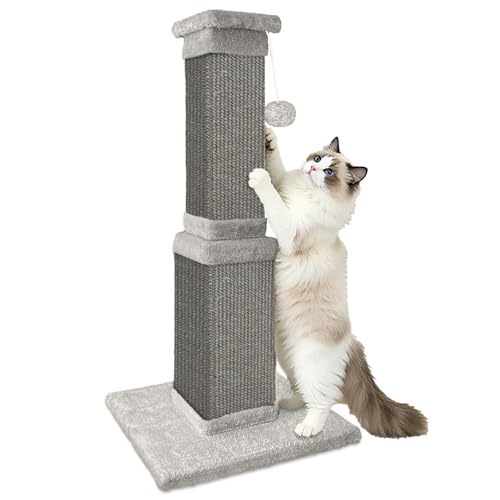 Cat Scratching Post, 32 Inch Cat Scratching Posts for Large Cats, Scratching Posts for Indoor Cats Adults, Cat Scratch Post with Nature Sisal, Full Gray - color: Full Gray