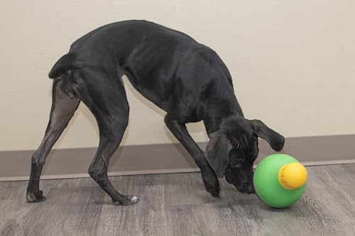 StarMark Bob-A-Lot Interactive Dog Toy, Small, Green (SMBALS) - size: Small