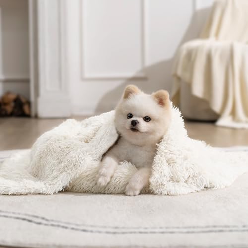gogobunny Waterproof Dog Blanket for Couch & Furniture Protection - Super Soft Reversible Throw for Large Dogs & Cats, Calming Washable Fur & Sherpa Pet Blanket (25x35 Inch, Cream) - color: Cream, size: 25x35 Inch (Pack of 1)
