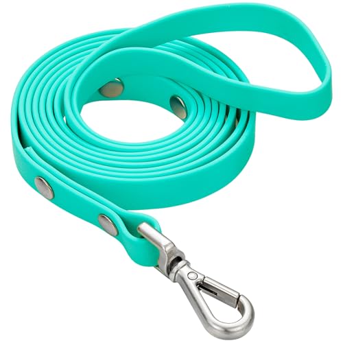 Waterproof Long Dog Training Leash 10ft Outdoor PVC Dog Leashes Great for Large Medium Small Dog Training Lead,Beach,Yard,Play,Camping(Mint Green - color: Mint Green, size: 10ft