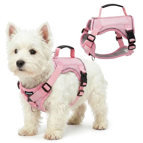 AIITLE Medium Dog Harness No Pull, Reflective Adjustable Vest with Handle, No Choke Design, Dual Metal Leash Clips for Walking Training Running Camping, Small Medium Breeds - Pink M - color: Pink, size: M