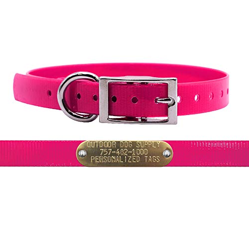 3/4" Waterproof D-Ring Dog Collar Adjustable Fit for Small & Medium Breeds | Custom 3/4" Brass Nameplate – Durable, Odor-Resistant, USA-Made (15", Pink) - color: Pink, size: 15" Long