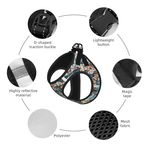 Cute Otter Pet Harness Escape Proof Dog Harness Adjustable Mesh Padded Reflective Dog Vest Harness and Leash Set Small - color: Style 1, size: Small