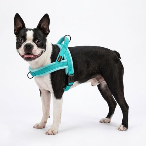 Didog Soft Flannel Padded Dog Vest Harness,Escape Proof/Quick Fit Reflective Dog Strap Harness, Easy for Training Walking(XS:Chest 15-18", Teal) - color: Teal, size: XS:chest 15-18"
