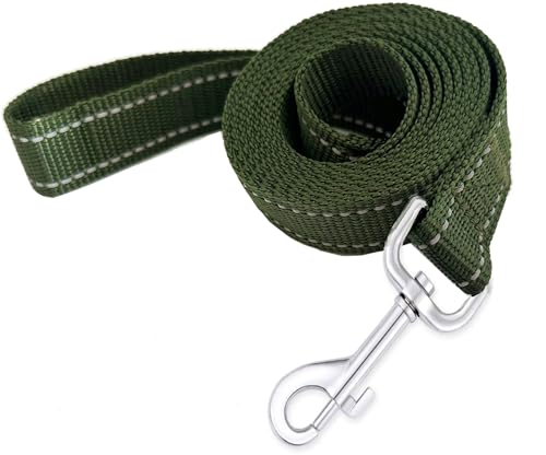 Reflective Dog Leash 4Ft /5 Foot /6 Feet Long, 1 Inch Wide, for Small and Medium Dogs - color: Reflective Green, size: 1'' x 4 FT