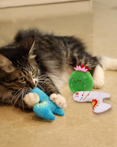 CiyvoLyeen Cactus Llama Catnip Toys 5Pcs Chew Interactive Toy for Cat Lover Cute Birthday Gift Indoor Kitty Bite Pet Supplies - color: Cactus Llama - 5Pcs