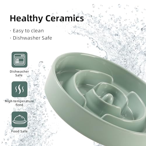 Havniva Ceramic Slow Feeder Dog Bowls, 1.2 Cups Dog Bowl Slow Feeding for Small and Medium Breed, 7.3inch Puzzle Dog Food Bowl Slow Feeder Non-Slip Anti-Gulping and Anti-Choking Reduces Bloating - color: 1 x Light Green-A, size: 7.3inch