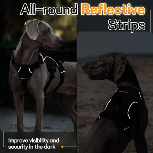 rabbitgoo Escape Proof Dog Harness, Soft Padded Full Body Pet Harness, Reflective Adjustable No Pull Vest with Lift Handle and Leash Clip for Large Dogs Walking Hiking Training, L, Black - color: Black, size: Large (Pack of 1)