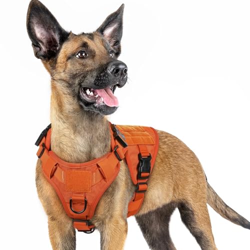 rabbitgoo Tactical Dog Harness for Small, Heavy Duty Pet Harness with Handle, No-Pull Service Vest Small Breed, Adjustable Military Dog Vest for Training Hunting Walking, Orange, S - color: Orange, size: Small