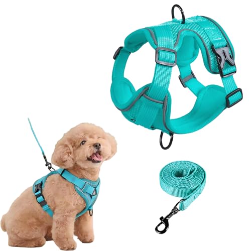 SOLMOONY Small Dog Harness,Soft Mesh Puppy Harness and Leash Set,No Escape Cat Harnesses for Training Walking,Reflective Adjustable Puppy Vest for Small Medium Dogs, Cats (Turquoise, S) - color: Turquoise, size: S