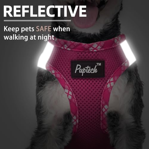 PUPTECK Dog Harness and Leash Set for Small Medium Dogs No Pull Step-in Soft Mesh Puppy Cat Vest Harnesses Reflective at Night, Fuchsia, M - color: #1 Fuchisa(Basic Mesh), size: M(CHEST 16"-18", 11-18 lbs)