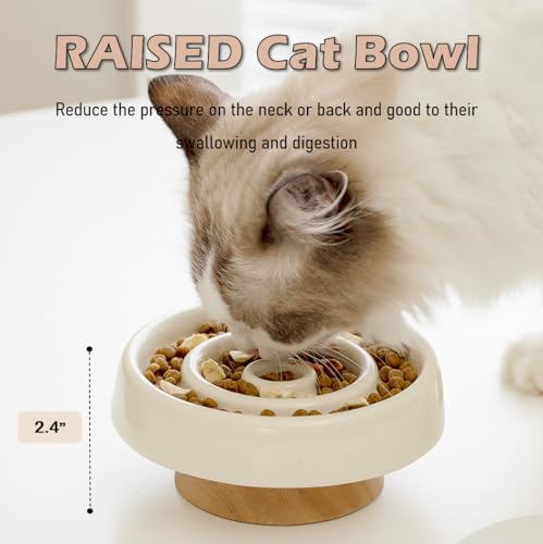 Ceramic Cat Slow Feeder, Raised Slow Feeder Cat Bowl, Anti Vomiting and Whisker Friendly Kitty Dish, Elevated Puppy Kitten Food Bowl for Dry and Wet Food (White) - color: White