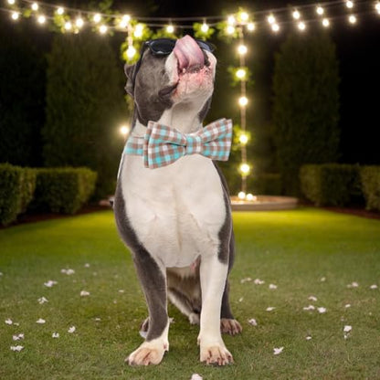 Plaid Dog Collar with Bowtie, Detachable and Adjustable Bow Tie Cat and Dog Collar with Metal Quick Release Buckle Pet Gift for Small Medium Large Dogs (Green, Large) - color: Green, size: Large