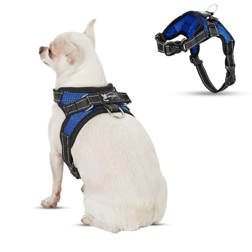 No Pull Reflective Adjustable Dog Harness With Handle- Comfortable Soft All Weather Mesh, Easy On Puppy Harness For Small Medium and Large Dogs (Blue) X-Small - color: Blue, size: X-Small
