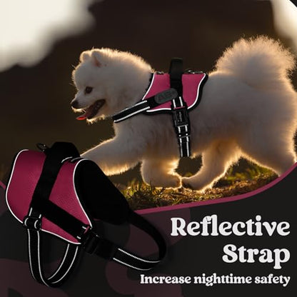 rabbitgoo Dog Harness Medium Sized, Easy On Pet Vest with One Buckle, No Pull Adjustable Service Harness with D-Ring & Handle, Reflective for Safety Walking, Training, Pink, M - color: Pink, size: Medium