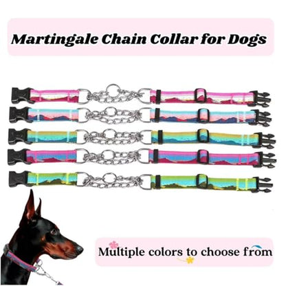 Martingale Dog Collars with Stainless Steel Chain, Reflective No Pull Walking Training Collar with Quick Release Buckle, Adjustable Slip Chain Nylon Dog Collars for Small Medium Large Dogs - color: Green and blue, size: Medium