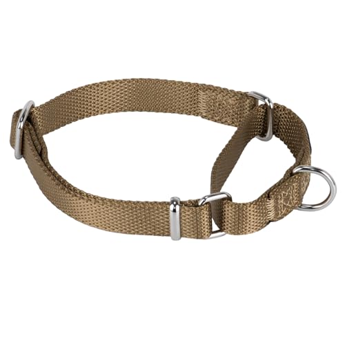 Martingale Collar for Dogs Small Yellow |Escape - Proof Heavy Duty Nylon Durable No Buckle, Ideal for Training & Daily Walks - color: Army Yellow, size: Small