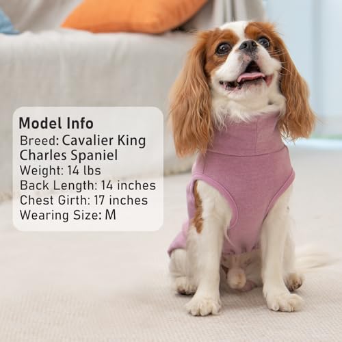 KYEESE 2Pack Dog Sweater Soft Dogs Clothes Warm Pets Clothes Turtleneck Pets Coats Dog Sweaters for Small Dogs Girl Pullover Small Pet Sweaters Stretchy Pet Sweatshirt - color: 1# Stripe+Purple, size: Medium (7-11lbs)