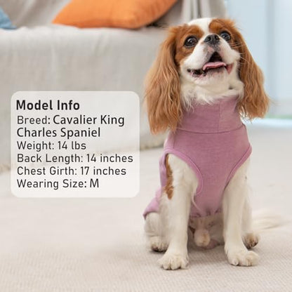 KYEESE 2Pack Dog Sweater Soft Dogs Clothes Warm Pets Clothes Turtleneck Pets Coats Dog Sweaters for Small Dogs Girl Pullover Small Pet Sweaters Stretchy Pet Sweatshirt - color: 1# Stripe+Purple, size: Medium (7-11lbs)